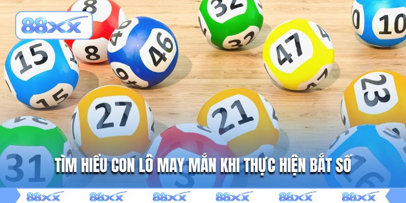 Tìm hiểu con lô may mắn khi thực hiện bắt số